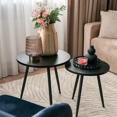 Deluxe Two-bedroom With Old Town View Apartment *